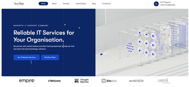 Professional software development outsourcing company website showcasing reliable IT services and scalable technology solutions for businesses
